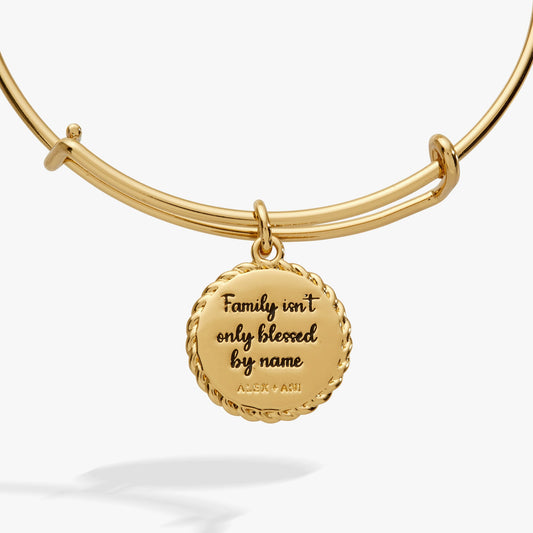 Bonus Mom 'Family Isn't Only Blessed By Name' Charm Bangle