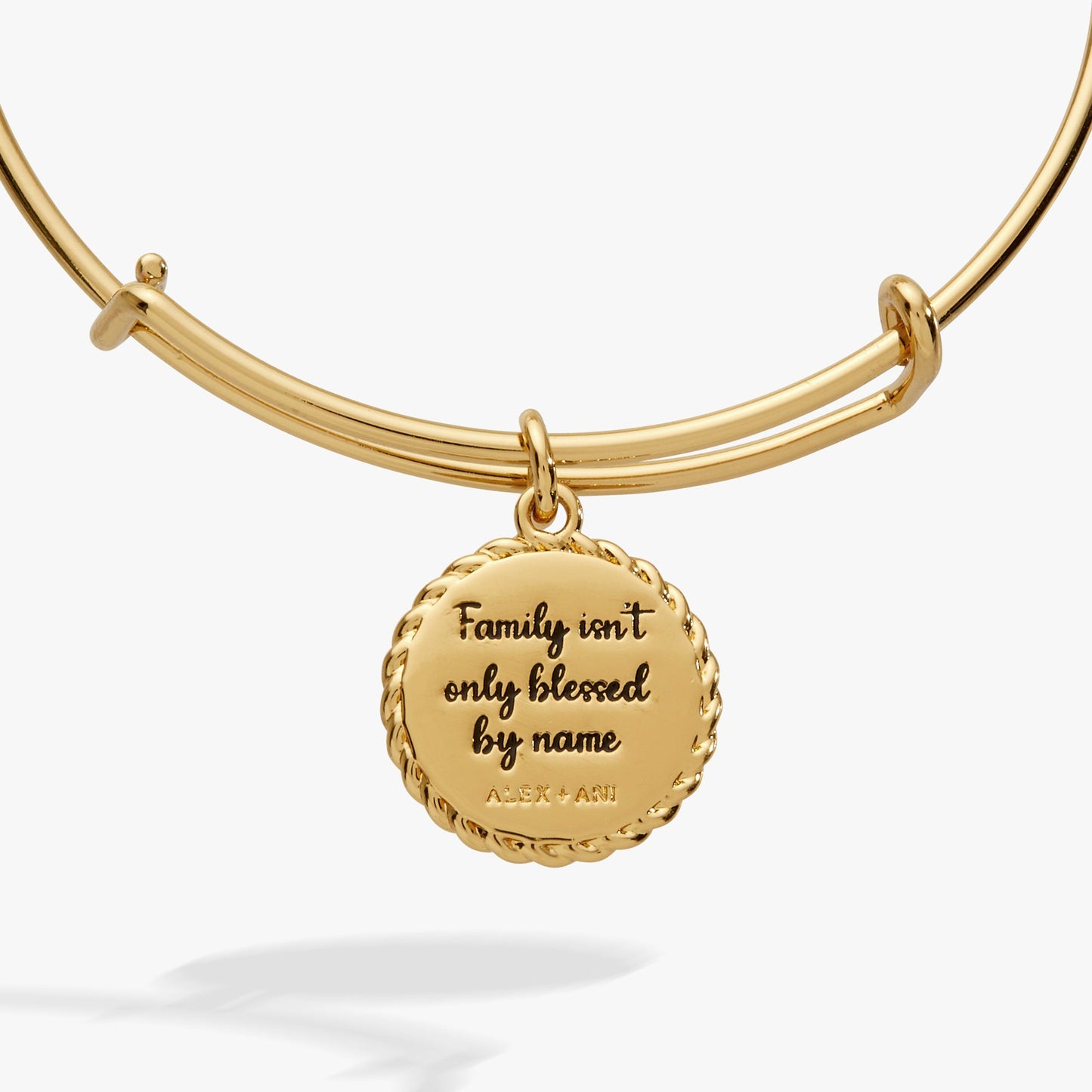Bonus Mom 'Family Isn't Only Blessed By Name' Charm Bangle